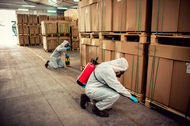 Best Best Pest Control Companies  in Carnesville, GA