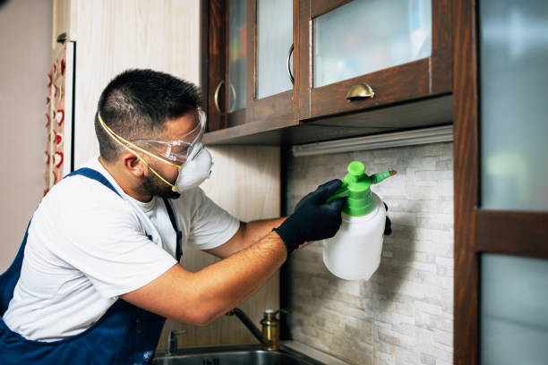 Best Best Pest Control Companies  in Carnesville, GA