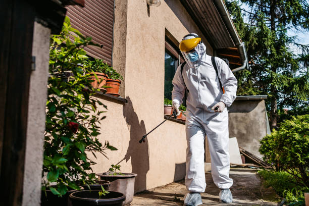 Best Insect Control  in Carnesville, GA