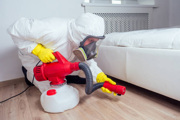 Best Affordable Pest Control Services  in Carnesville, GA