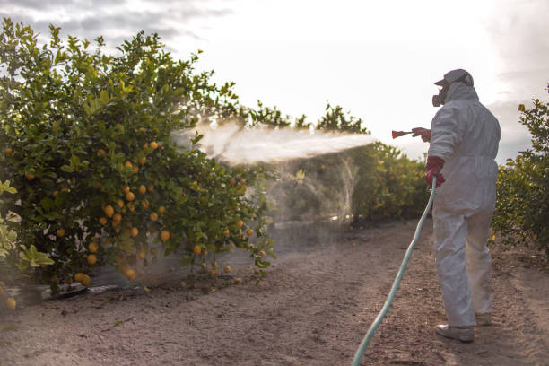 Best Pest Control Cost  in Carnesville, GA