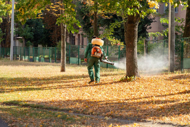 Best Pest Inspection Near Me  in Carnesville, GA