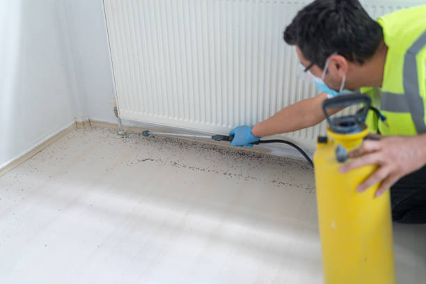 Wasp Removal Services in Carnesville, GA