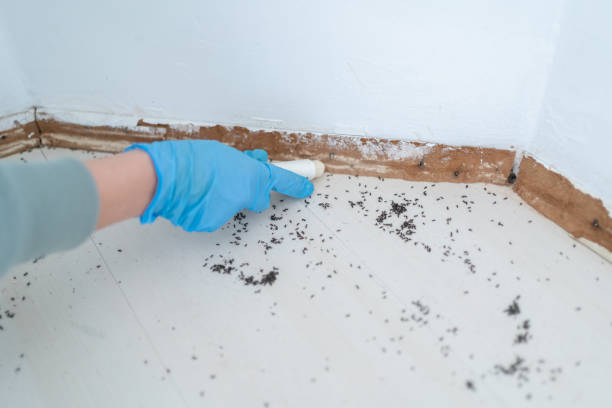 Pest Control for Restaurants in Carnesville, GA