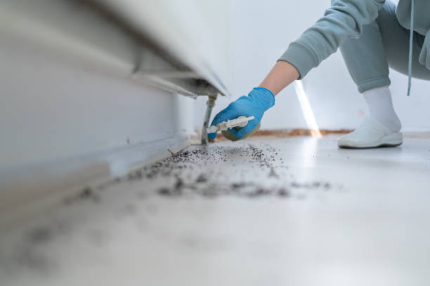 Trusted Carnesville, GA Pest Control Experts